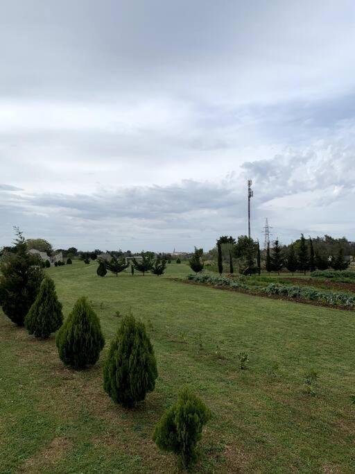Fraschi Countryhouse Carpignano Salentino Eksteriør bilde